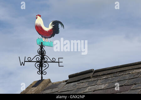 Hahn-förmigen Wetterfahne auf landwirtschaftlichen Nebengebäude in Nordirland Stockfoto