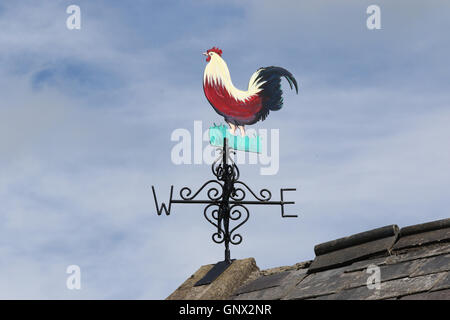 Hahn-förmigen Wetterfahne auf landwirtschaftlichen Nebengebäude in Nordirland Stockfoto