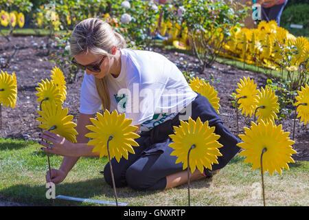 Poole, Dorset, UK. 1. September 2016. Eine ergreifende Darstellung von 1000 handgefertigten Metall- und Sonnenblumen gepflanzt durch Wald Holme Hospiz in Poole im Rose Garden in Poole Park um die 1000 Menschen vor Ort betreut jedes Jahr vertreten. Das Meer von gelben Blüten werden auf dem Display im September für die Öffentlichkeit zu besuchen und ihre lieben zu erinnern. Die Blumen wurden handgefertigt von Theatre Royal in Plymouth, die einen integralen Bestandteil im Tower of London Mohn Display gespielt. Bildnachweis: Carolyn Jenkins/Alamy Live-Nachrichten Stockfoto