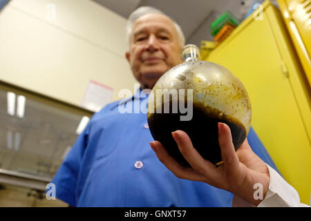 Jerusalem, Israel. 1. September 2016. Ein Forscher hält eine Flasche Glaswaren mit medizinischem Marihuana vor Prof. Raphael Mechoulam organischer Chemiker und Pionier auf dem Gebiet der Cannabisforschung, das Endocannabinoid-System oft als der "Vater von Marihuana Forschung." im Labor der Hebrew University School of Pharmacy in Jerusalem am 1. September 2016 entdeckt. Israel ist ein weltweit führendes Unternehmen auf der Wissenschaft von medizinischem Marihuana entwickelt. Im Juni Israel genehmigt einen Plan, um Beschränkungen für medizinisches Marihuana wachsen zu erleichtern und kündigte an, dass medizinisches Marihuana würde sogar Stockfoto