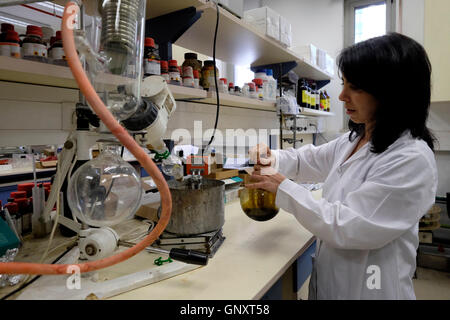 Jerusalem, Israel. 1. September 2016. Christine Haj Postdoc Forscher arbeiten mit einem Kolben Glaswaren mit Marihuana im Labor der Hebrew University School of Pharmacy in Jerusalem am 1. September 2016. Israel ist ein weltweit führendes Unternehmen auf der Wissenschaft von medizinischem Marihuana entwickelt. Im Juni Israel genehmigt einen Plan, um Beschränkungen für medizinisches Marihuana wachsen zu erleichtern und kündigte an, dass medizinisches Marihuana würde schließlich ein großes Wachstum und Exportwirtschaft. Bildnachweis: Eddie Gerald/Alamy Live-Nachrichten Stockfoto