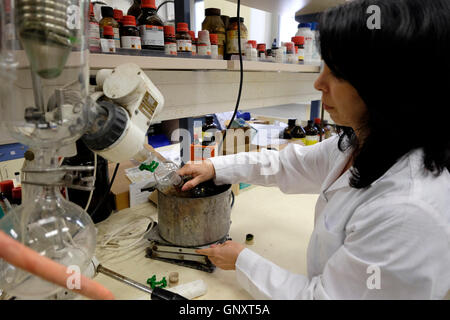 Jerusalem, Israel. 1. September 2016. Christine Haj, eine postdoktorische Forscherin, arbeitet am 01. September 2016 mit einem Glaskolben mit medizinischem Marihuana im Labor der Hebräischen Universitätsschule für Pharmazie. Israel entwickelt sich zu einem weltweit führenden Anbieter von medizinischem Marihuana. Im Juni genehmigte Israel einen Plan zur Lockerung der Beschränkungen für den Anbau von medizinischem Marihuana und kündigte an, dass medizinisches Marihuana letztlich zu einer wichtigen Wachstums- und Exportindustrie werden würde. Kredit: Eddie Gerald/Alamy Live News Stockfoto