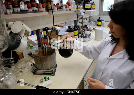 Jerusalem, Israel. 1. September 2016. Christine Haj Postdoc Forscher arbeiten mit einem Kolben Glaswaren mit Marihuana im Labor der Hebrew University School of Pharmacy am 1. September 2016. Israel ist ein weltweit führendes Unternehmen auf der Wissenschaft von medizinischem Marihuana entwickelt. Im Juni Israel genehmigt einen Plan, um Beschränkungen für medizinisches Marihuana wachsen zu erleichtern und kündigte an, dass medizinisches Marihuana würde schließlich ein großes Wachstum und Exportwirtschaft. Bildnachweis: Eddie Gerald/Alamy Live-Nachrichten Stockfoto