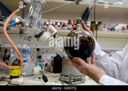 Jerusalem, Israel. 1. September 2016. Christine Haj Postdoc Forscher hält eine Flasche Glaswaren mit Marihuana im Labor der Hebrew University School of Pharmacy in Jerusalem am 1. September 2016. Israel ist ein weltweit führendes Unternehmen auf der Wissenschaft von medizinischem Marihuana entwickelt. Im Juni Israel genehmigt einen Plan, um Beschränkungen für medizinisches Marihuana wachsen zu erleichtern und kündigte an, dass medizinisches Marihuana würde schließlich ein großes Wachstum und Exportwirtschaft. Bildnachweis: Eddie Gerald/Alamy Live-Nachrichten Stockfoto