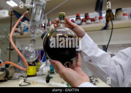 Jerusalem, Israel. 1. September 2016. Christine Haj Postdoc Forscher hält eine Flasche Glaswaren mit Marihuana im Labor der Hebrew University School of Pharmacy in Jerusalem am 1. September 2016. Israel ist ein weltweit führendes Unternehmen auf der Wissenschaft von medizinischem Marihuana entwickelt. Im Juni Israel genehmigt einen Plan, um Beschränkungen für medizinisches Marihuana wachsen zu erleichtern und kündigte an, dass medizinisches Marihuana würde schließlich ein großes Wachstum und Exportwirtschaft. Bildnachweis: Eddie Gerald/Alamy Live-Nachrichten Stockfoto