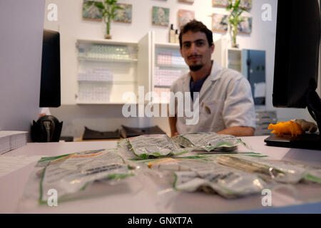 Taschen mit medizinischem Marihuana werden am 01. September 2016 in einer Apotheke von Tikun Olam, Israels größtem Marihuana-Lieferanten in Tel Aviv, gesehen. Israel entwickelt sich zu einem weltweit führenden Unternehmen in der Wissenschaft von medizinischem Marihuana. Im Juni genehmigte Israel einen Plan zur Lockerung der Beschränkungen für den Anbau von medizinischem Marihuana und kündigte an, dass medizinisches Marihuana schließlich zu einer wichtigen Wachstums- und Exportindustrie werden würde. Stockfoto