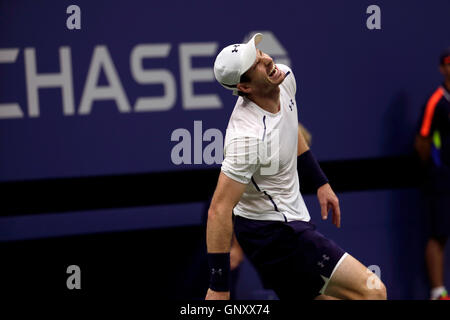 New York, USA. 1. Sep 2016. Andy Murray Großbritannien reagiert auf einen Punkt in seiner zweiten Runde gegen Marcel Granollers Spanien an der United States Open Tennis Championships in Flushing Meadows, New York am Donnerstag, dem 1. September. Quelle: Adam Stoltman/Alamy leben Nachrichten Stockfoto