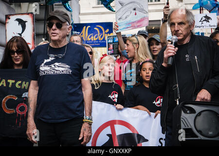 London, UK. 1. September 2016. Demonstranten gegen das Abschlachten von Delfinen in Taiji, Japan März in London. Stockfoto