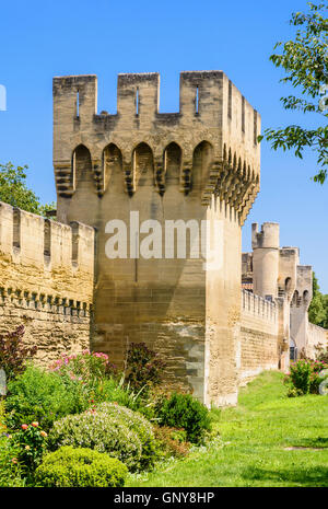 Stadtmauer und Turm, ein Abschnitt der Stadtmauer in der Nähe von Porte De La Republique, Avignon, Frankreich Stockfoto