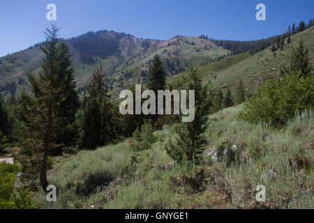 Mineral King Valley, Teil des Sequoia National Park. Kalifornien. USA Stockfoto