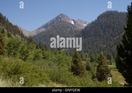 Mineral King Valley, Teil des Sequoia National Park. Kalifornien. USA Stockfoto