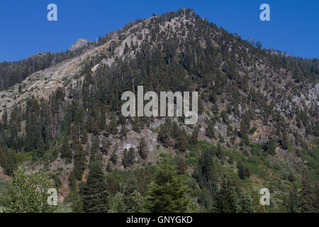 Mineral King Valley, Teil des Sequoia National Park. Kalifornien. USA Stockfoto