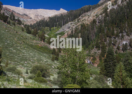 Mineral King Valley, Teil des Sequoia National Park. Kalifornien. USA Stockfoto