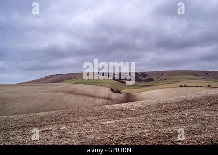 Ein Feld lag brach im winter Stockfoto