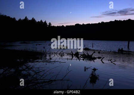 Mond im Viertel setzt über einen Biber Teich mit Sterne heraus in die Green Mountains von Vermont Souther Stockfoto