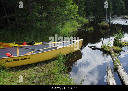 Gelbe Kanu- und Kajaktouren ruhen auf der Bank von einem Biber Teich in den Green Mountains von Vermont Stockfoto
