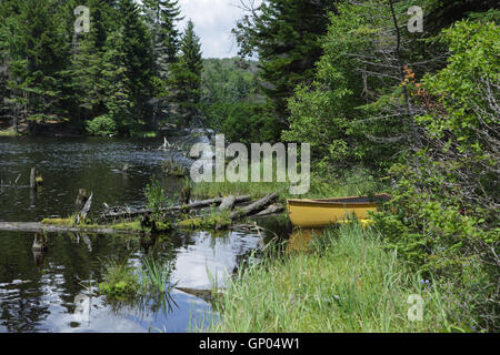 Gelben Kanu liegt am Ufer des Biber Teich in den Green Mountains von Vermont Stockfoto