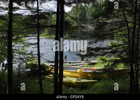 Kanus und Kajaks an einem See in den grünen Bergen des südlichen Vermont, USA Stockfoto