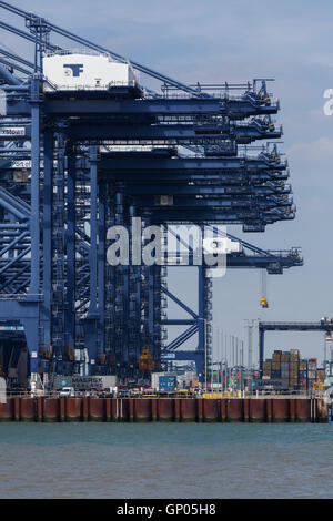 Kräne im Hafen von Felixstowe zum Laden und Entladen Container Stockfoto