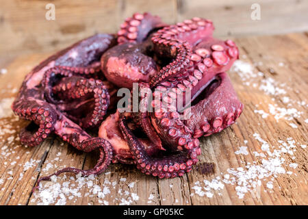 Frischer Tintenfisch auf Schneidebrett eine typische Zutat für die gesunde italienische Küche Stockfoto