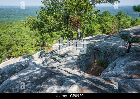 Blick vom Wanderweg auf Atlanta, Georgia Stone Hausberg im Stone Mountain Park. (USA) Stockfoto