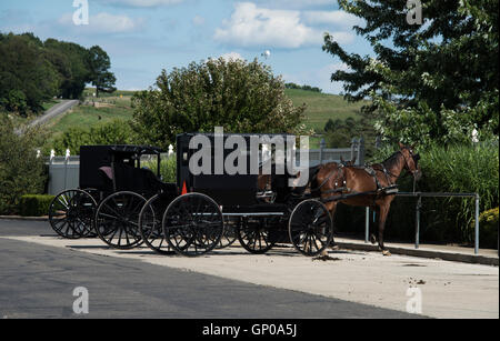 Amische Pferd und Buggys auf Parkplatz in Charme-Ohio Stockfoto