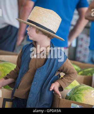 Amische junge auf dem Markt Stockfoto