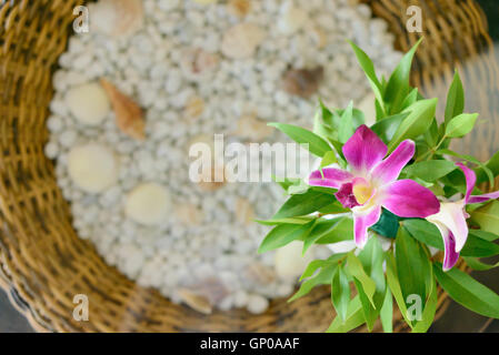 Runder Tisch-Dekoration mit lila Orchideen und Gier Blätter, Ansicht von oben. Stockfoto