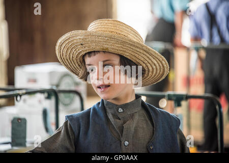 Amische junge auf dem Markt Stockfoto