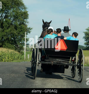 Amische Pferd und offene Buggy auf Landstraße in Ohio Stockfoto