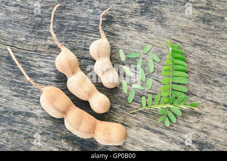 Tamarinde und Blätter auf Grunge Holzbrett. Stockfoto