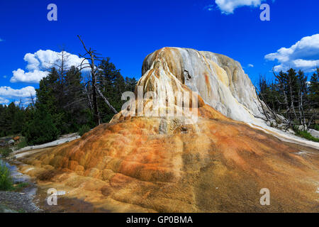 Dies ist eine Ansicht einer Formation namens Orange Spring Mound im Mammoth Hot Springs Bereich der Yellowstone-Nationalpark, Wyoming, Stockfoto