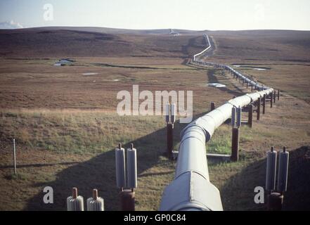 Die Trans-Alaska-Pipeline kreuzt arktischen Tundra in der Nähe von Toolik See in Alaska. Stockfoto