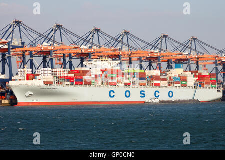 Containerschiff Cosco Entwicklung vertäut am Euromax Container-terminal im Hafen von Rotterdam. Stockfoto