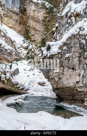 Pfad zum Johnston Wasserfall in Banff Park, Alberta, Kanada Stockfoto