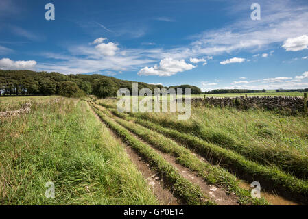 Ein ländlicher Bauernhof verfolgen in der englischen Landschaft an einem schönen Sommertag. Stockfoto