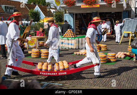 Käse-Träger laufen mit Käse, die Waage auf dem Edamer Käsemarkt, Edam, Niederlande Stockfoto