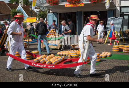 Käse-Träger laufen mit Käse, die Waage auf dem Edamer Käsemarkt, Edam, Niederlande Stockfoto