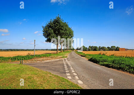 Einer t-Kreuzung auf der Landstraße auf dem Lande in Suffield, Norfolk, England, Vereinigtes Königreich. Stockfoto