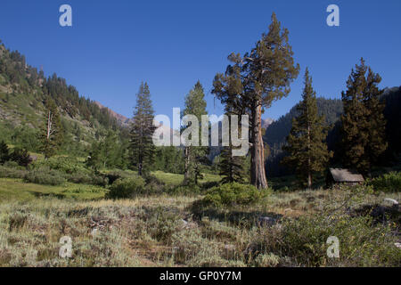 Mineral King Valley, Teil des Sequoia National Park. Kalifornien. USA Stockfoto