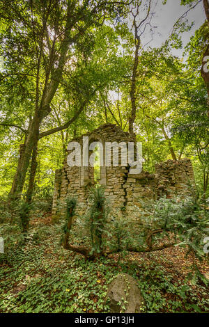 Verlassene Ruine im verunkrauteten Wald bewachsen. Stockfoto