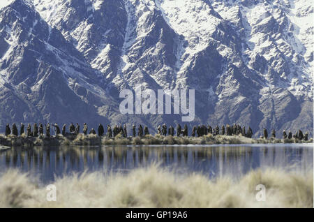 Der Herr der Ringe - Die Zwei Tuerme Fluechtlinge aus Rohan Auf Dem Weg Nach Helms Klamm *** lokalen Caption *** 2002, 2002, Film, Herr der Ringe: die zwei Türme, Der Herr Der Ringe - Die Zwei Übersicht Stockfoto