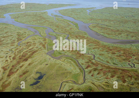 LUFTAUFNAHME. Salzsumpfwildnis an der westlichen Schelde-Mündung. Verdronken Land van Saeftinghe, Zeeland, Niederlande. Stockfoto