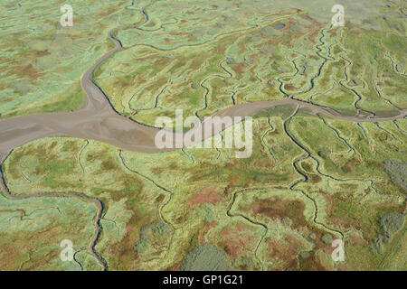 LUFTAUFNAHME. Salzsumpfwildnis an der westlichen Schelde-Mündung. Verdronken Land van Saeftinghe, Zeeland, Niederlande. Stockfoto