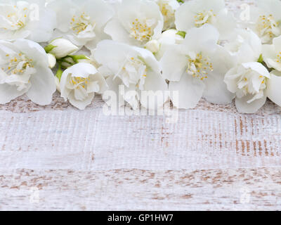 Schöne süße Mock-Orange Blumen auf dem rustikalen weißen gemalten Hintergrund Stockfoto