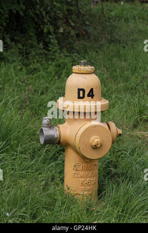 Gelbe Kennedy K-81 Dry barrel Hydrant in einem Gras kurz auf einem alten USAF/RAF-Flugplatz in Cotswolds, England, GB entfernt Stockfoto