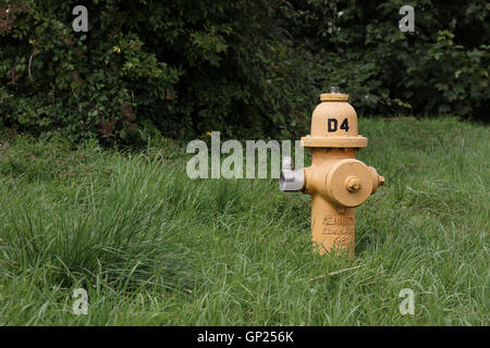 Gelbe Kennedy K-81 Dry barrel Hydrant in einem Gras kurz auf einem alten USAF/RAF-Flugplatz in Cotswolds, England, GB entfernt Stockfoto