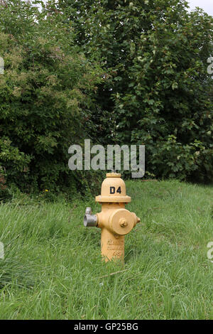 Gelbe Kennedy K-81 Dry barrel Hydrant in einem Gras kurz auf einem alten USAF/RAF-Flugplatz in Cotswolds, England, GB entfernt Stockfoto