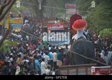 Elefanten Festival Varkala Kerala Indien Stockfoto