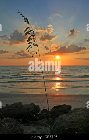 Ein Sonnenuntergang über dem Meer mit dem Rohr Stockfoto